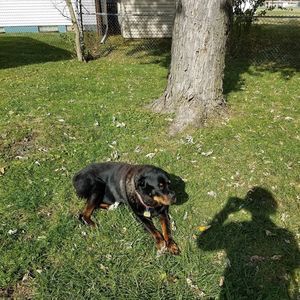 Meet your Posher, Marlene